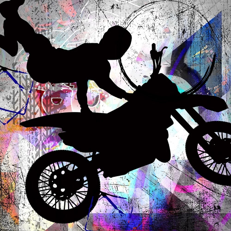 Picture of EXTREME MOTOCROSS 2