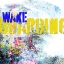 Picture of EXTREME WAKEBOARD TYPE