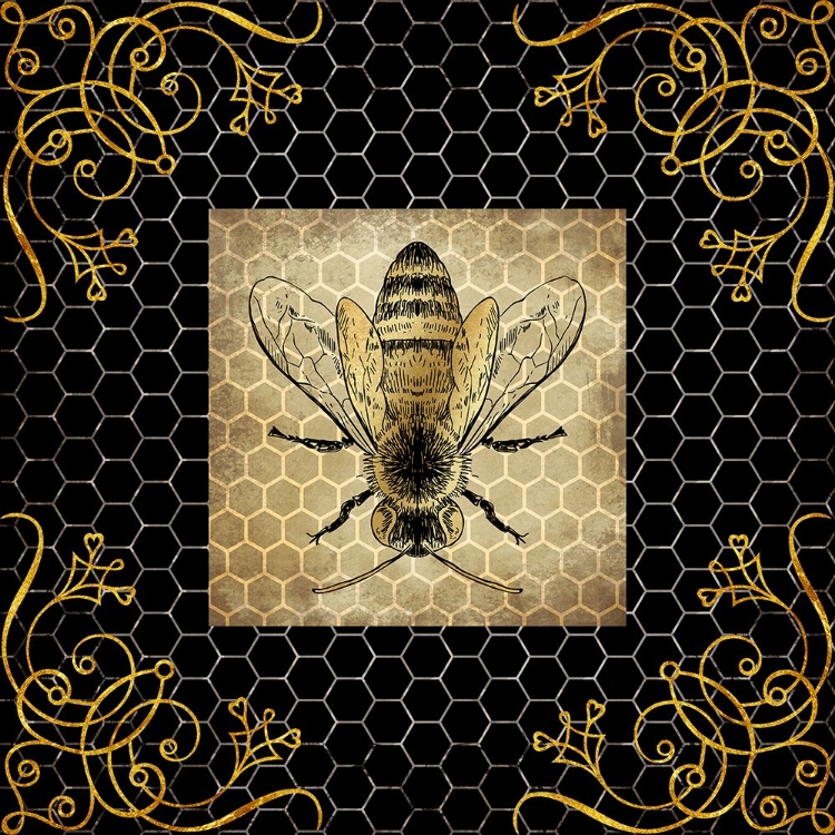 Picture of GOLDEN HONEY BEE 02