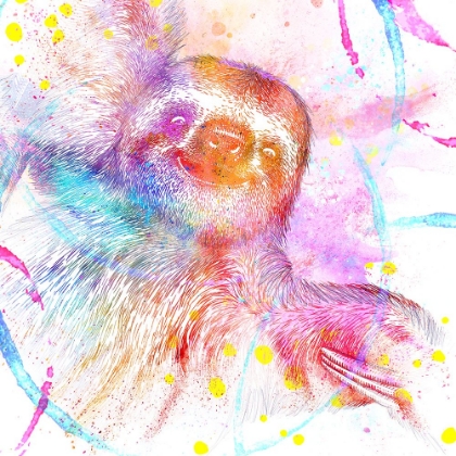 Picture of PAINTED PINK SLOTH