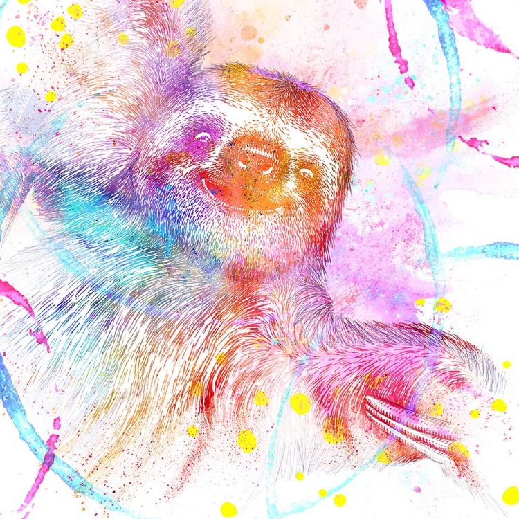 Picture of PAINTED PINK SLOTH