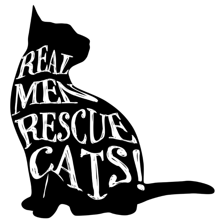 Picture of RESCUECAT 07