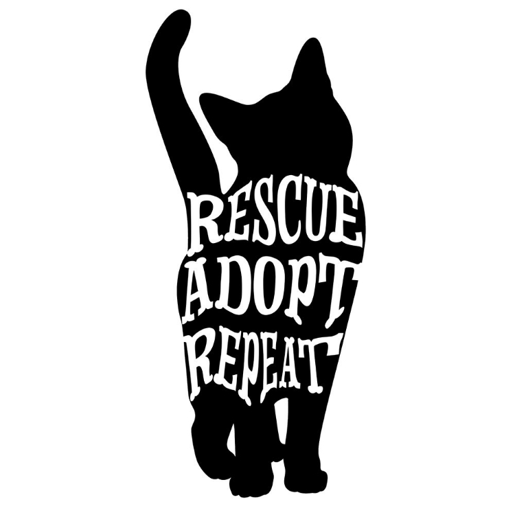 Picture of RESCUECAT 08