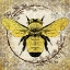 Picture of HONEY BEE 01