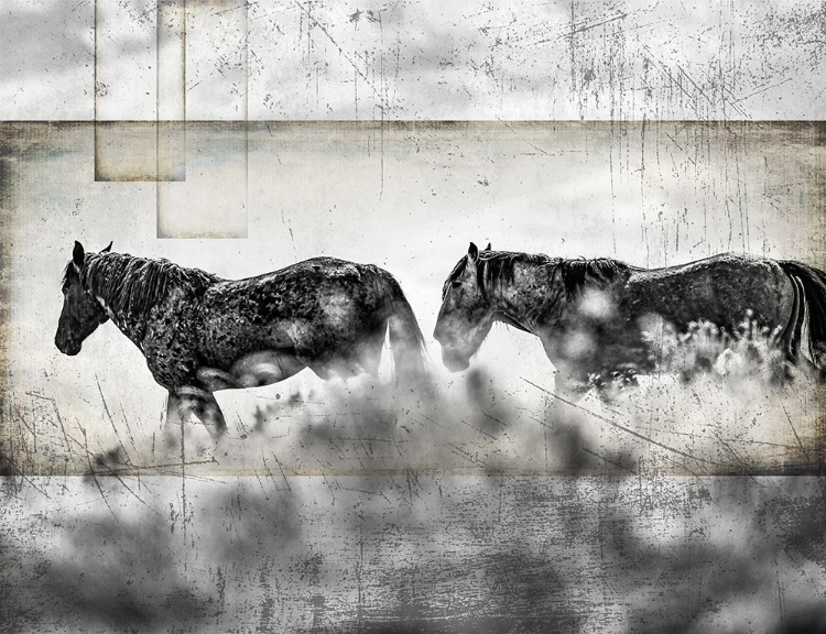 Picture of WILD HORSES OF THE GREAT BASIN 06