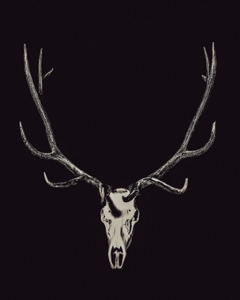 Picture of THE RUSTIC ANTLER 02