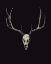 Picture of THE RUSTIC ANTLER 04