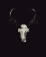 Picture of THE RUSTIC ANTLER 05