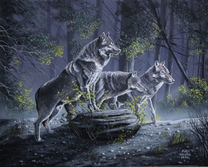 Picture of WOLF PACK