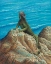 Picture of IGUANA