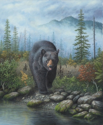 Picture of SMOKY MOUNTAIN BLACK BEAR