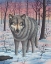 Picture of LONE WOLF