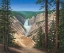 Picture of LOWER FALLS - YELLOWSTONE