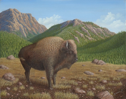 Picture of BISON