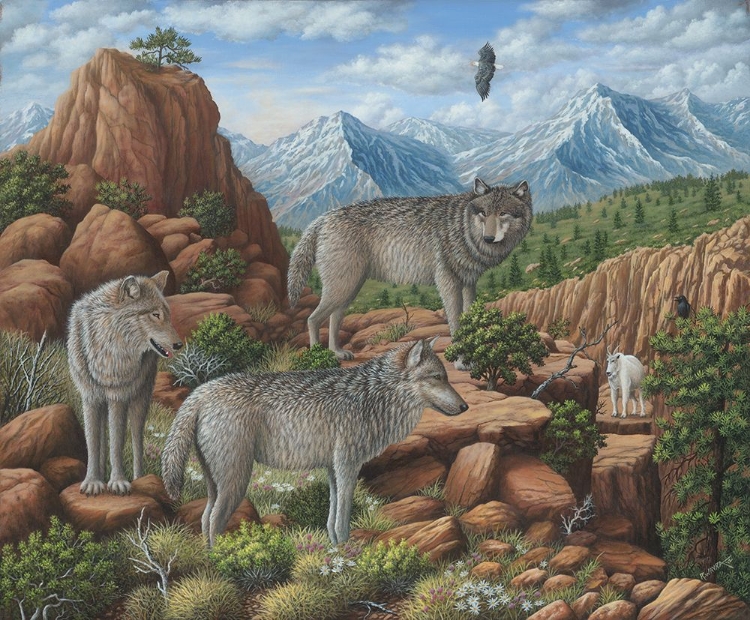 Picture of SCOUTING THE HORIZON - GREY WOLVES