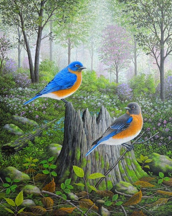 Picture of SPRING BLUEBIRDS