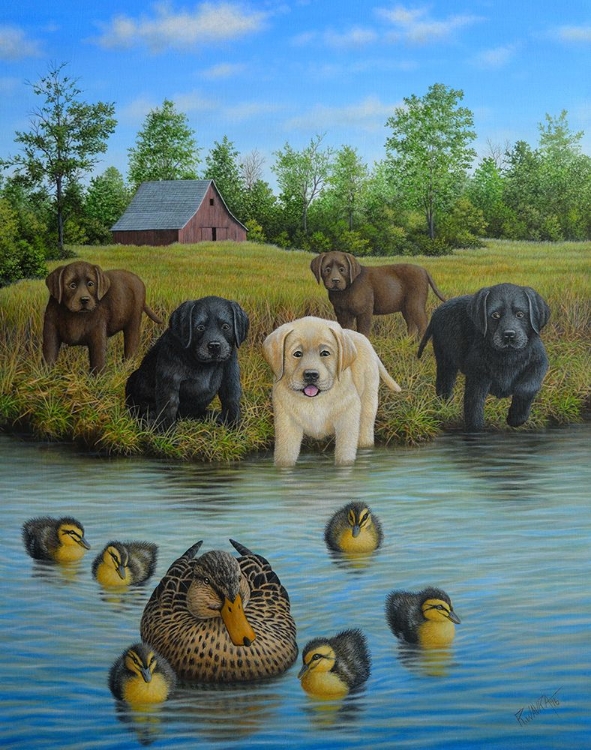 Picture of PUPPIES AND DUCKLINGS