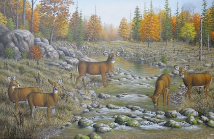 Picture of AUTUMN WHITETAILS