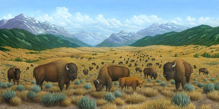 Picture of THE BISON TRAIL