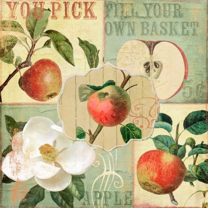 Picture of APPLE BLOSSOMS II