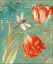 Picture of MANDARIN TULIPS