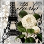 Picture of PARIS BLANC I
