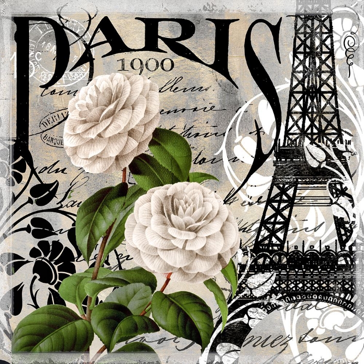 Picture of PARIS BLANC II