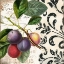 Picture of LES FRUITS JARDIN III
