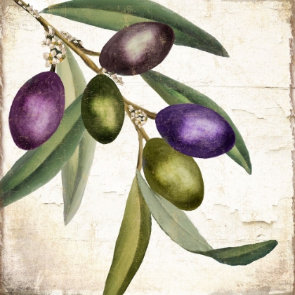 Picture of OLIVE BRANCH I