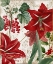 Picture of AMARYLLIS