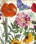 Picture of PRINTEMPS