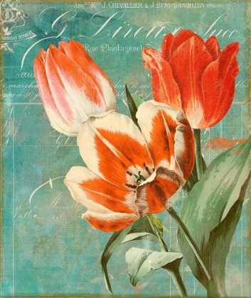 Picture of TULIPS ABLAZE II
