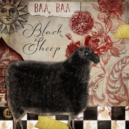 Picture of BAA BAA BLACK SHEEP
