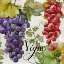 Picture of WINES OF PARIS I
