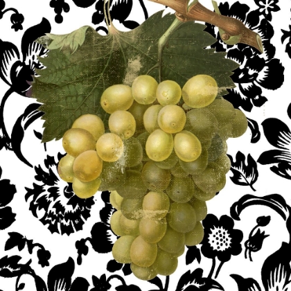 Picture of GRAPE SUZETTE II