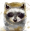 Picture of GOLDEN FOREST - RACCOON