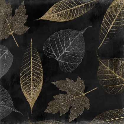 Picture of AUTUMN GOLD BLACK BACKGROUND