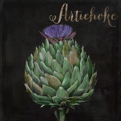 Picture of MEDLEY_ARTICHOKE