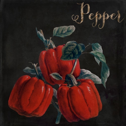 Picture of MEDLEY_PEPPER
