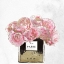 Picture of PINK SCENTED