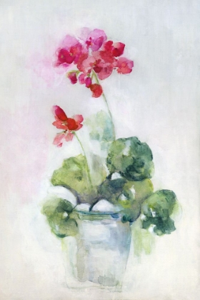 Picture of SOFT GERANIUM I