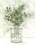 Picture of DELICATE GREENERY I
