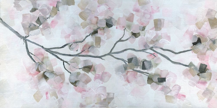 Picture of CHERRY BLOSSOMS