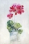 Picture of SOFT GERANIUM II