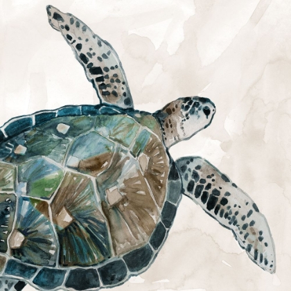 Picture of NEUTRAL SEA TURTLE I