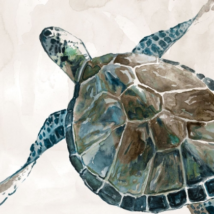 Picture of NEUTRAL SEA TURTLE II