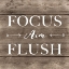 Picture of FOCUS AIM FLUSH