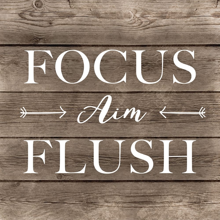 Picture of FOCUS AIM FLUSH