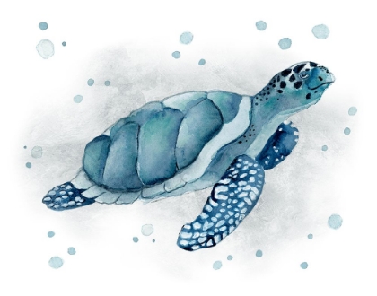 Picture of BLUE TURTLE I