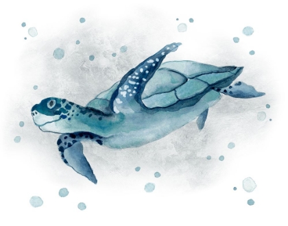 Picture of BLUE TURTLE II